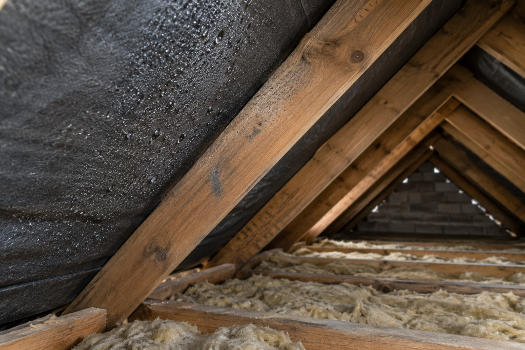 Condensation droplets on roof underlay beside timber rafters in an insulated loft.